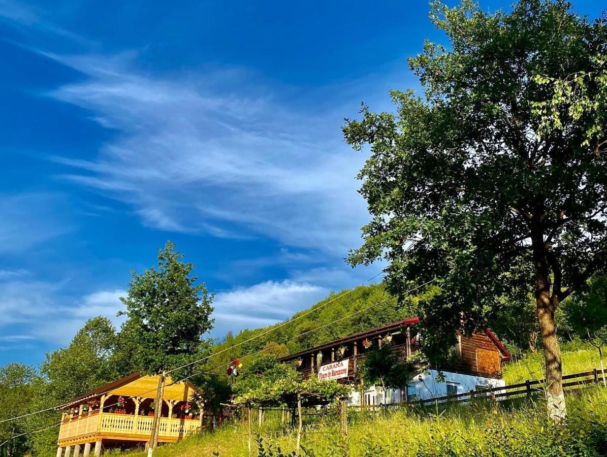 Floare De Maramures 2 Sighetu Marmaţiei Exteriör bild