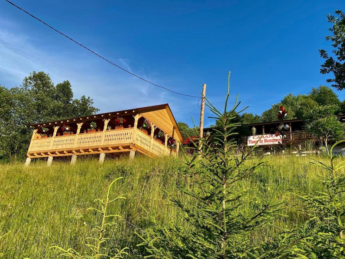Floare De Maramures 2 Sighetu Marmaţiei Exteriör bild